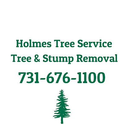 Holmes Tree Service, photographed by a Google contributor