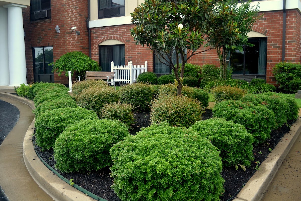 Holiday Inn Express, photographed by a Google contributor